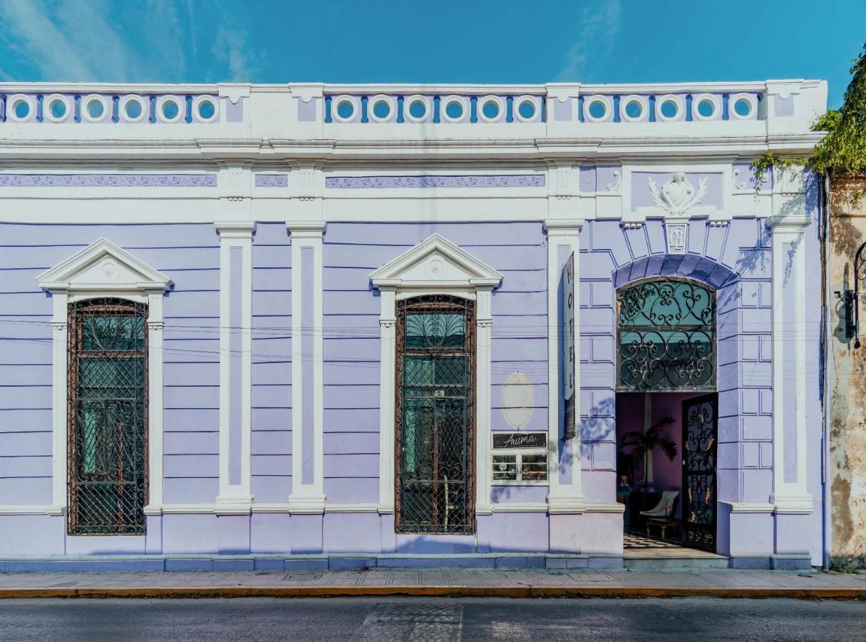 Hotel Lavanda Cas Mérida Exterior photo Casa Paoli